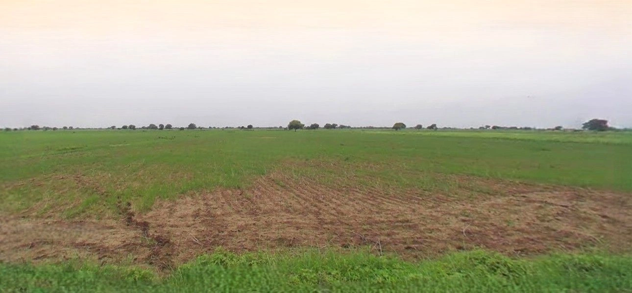 Bazpur, Uttarakhand 262401, India preview 3