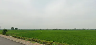 Malipura, Rajasthan 323022, India preview 2
