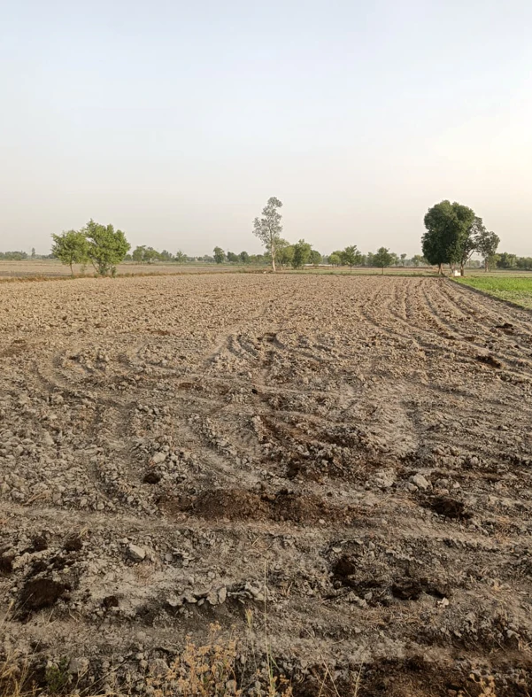 Katani Kalan, Punjab 141113, India