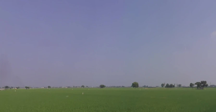 Raqba, Punjab 141104, India