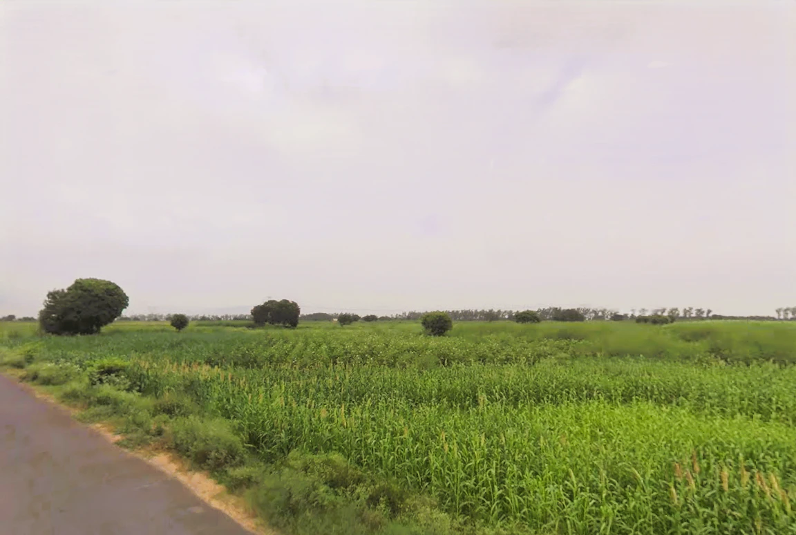 Saveli, Haryana 121105, India