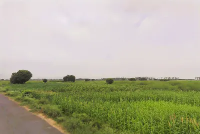 Saveli, Haryana 121105, India preview 3