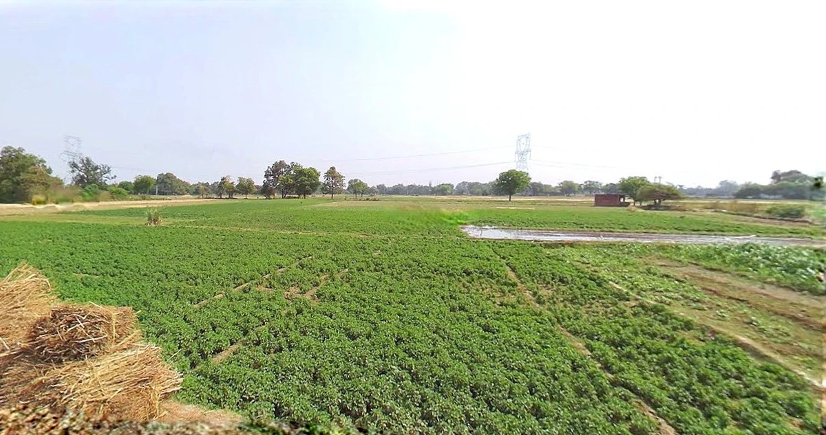 Jewar, Uttar Pradesh 203135, India