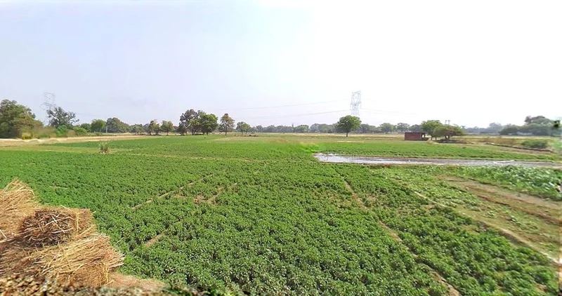 Jewar, Uttar Pradesh 203135, India preview 3