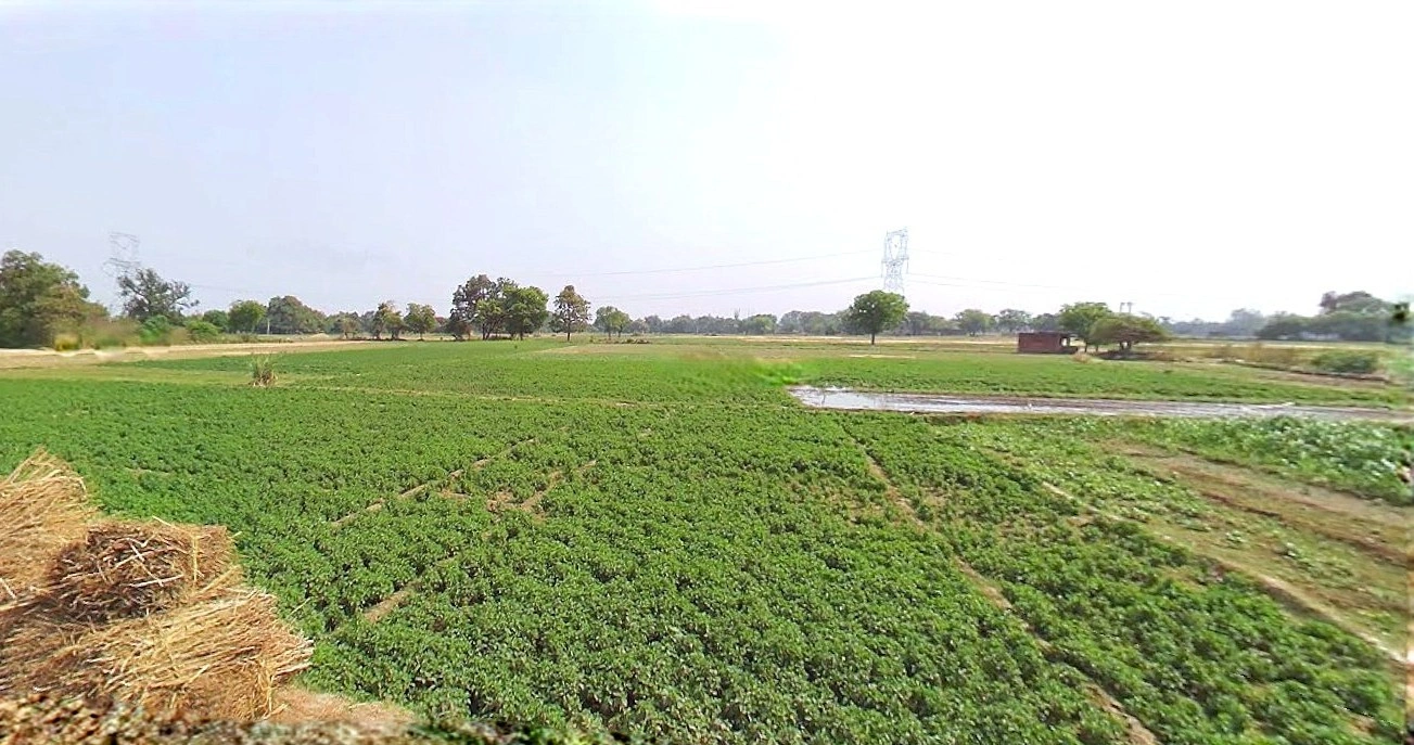 Jewar, Uttar Pradesh 203135, India