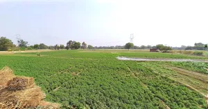Jewar, Uttar Pradesh 203135, India preview 3