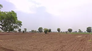 5VC9+3F9, Pitamali, Madhya Pradesh, India preview 3