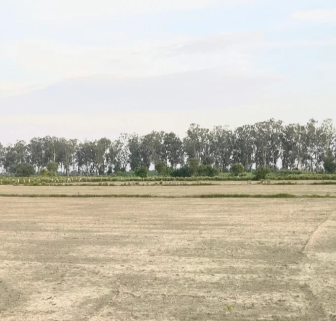 X66G+R36, Palwal, Kot, Haryana 121103, India