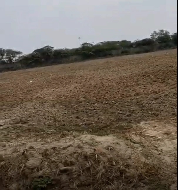 Rupeta, Ujjain, Madhya Pradesh 456335, India