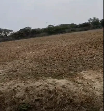 Rupeta, Ujjain, Madhya Pradesh 456335, India preview 3