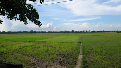 Dharmawala, Herbertpur, Uttarakhand 248142, India preview 2