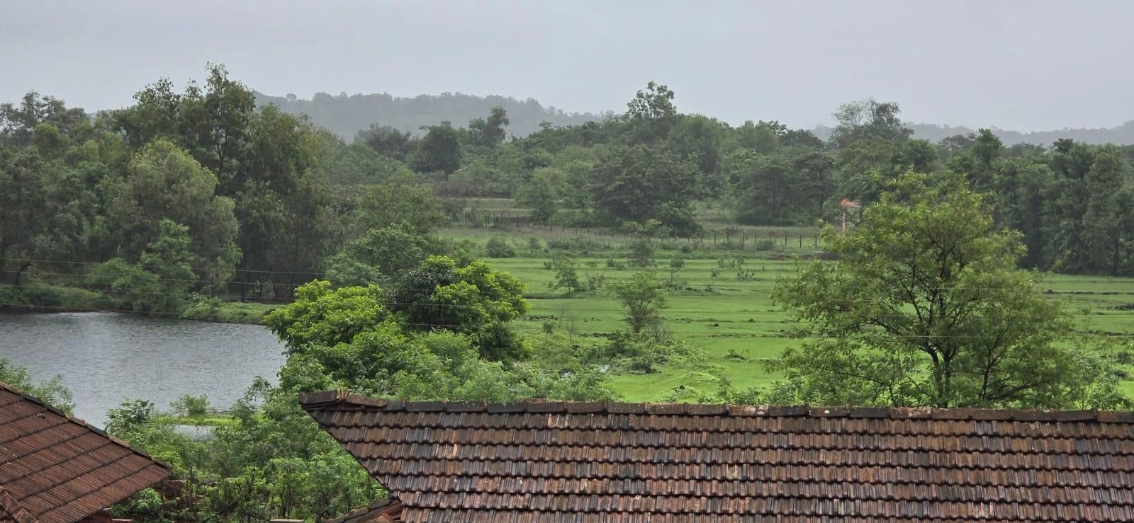 FC38+W24, Ratnagiri, Pathardi, Maharashtra 415701, India