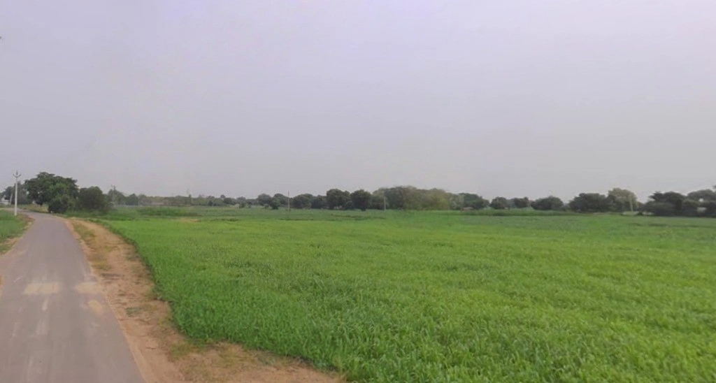 Dhilawati, Rajasthan 321022, India