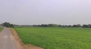 Dhilawati, Rajasthan 321022, India preview 2
