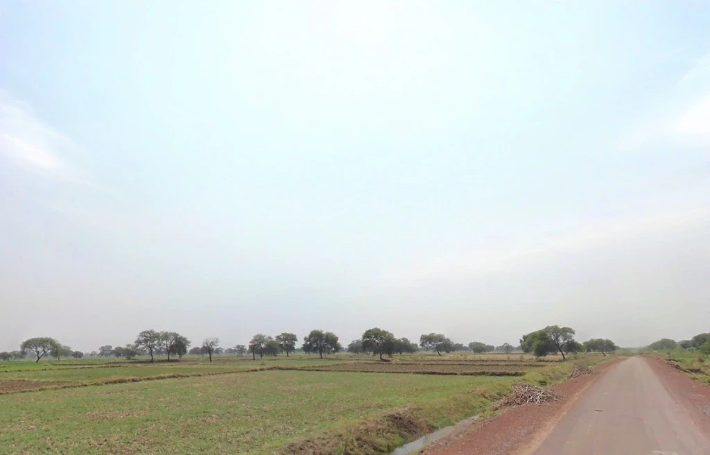 Kathakoni, Chhattisgarh 495003, India