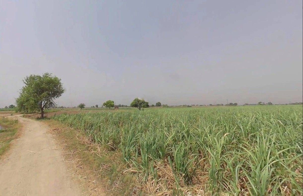 QQQ5+679, Ram Garhi Rd, Kaili, Uttar Pradesh 245206, India preview 3