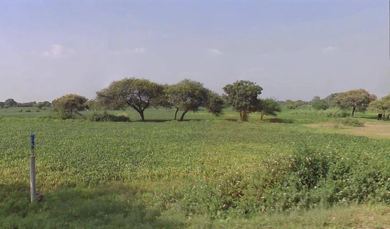 Labariya, Madhya Pradesh 454111, India