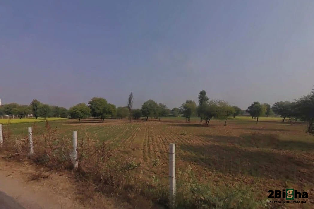 Chalk, Faridpur, Haryana 125103, India