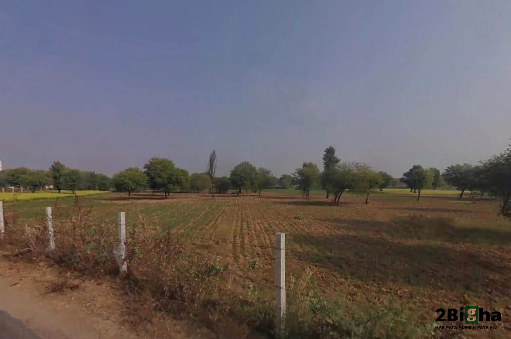 Chalk, Faridpur, Haryana 125103, India