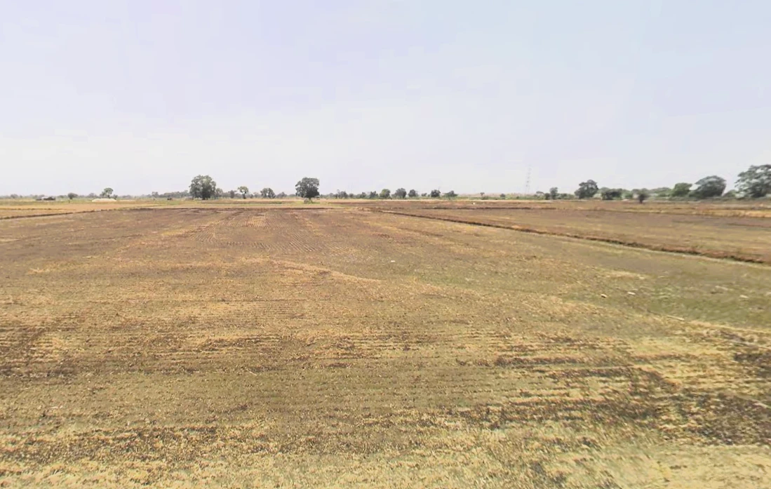 Pirthla, Haryana, India