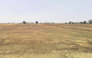 Pirthla, Haryana, India preview 2