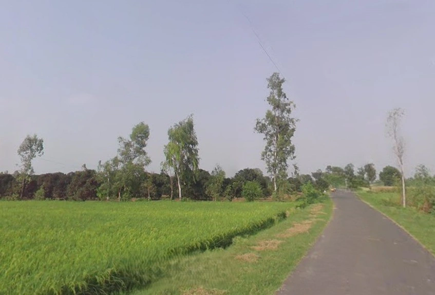 Daulatpur, Uttar Pradesh 203398, India