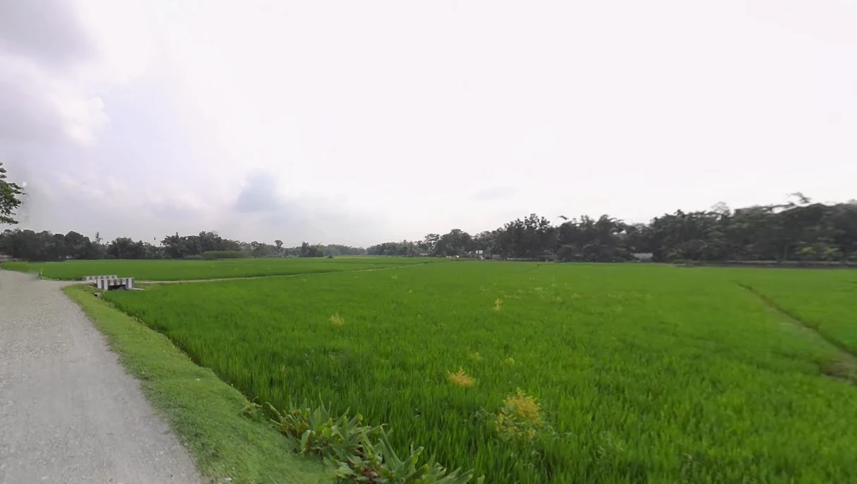 Jalpaiguri, West Bengal 735101, India preview 2