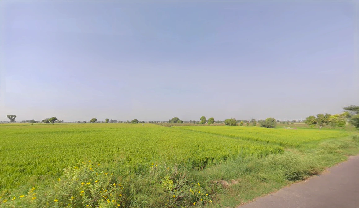 JP79+2QJ, Dhudhian Wali, Haryana 125075, India