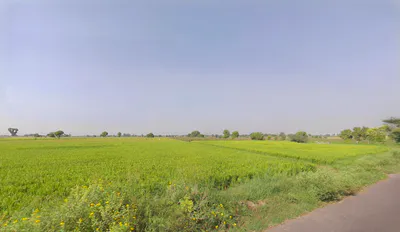 JP79+2QJ, Dhudhian Wali, Haryana 125075, India preview 3