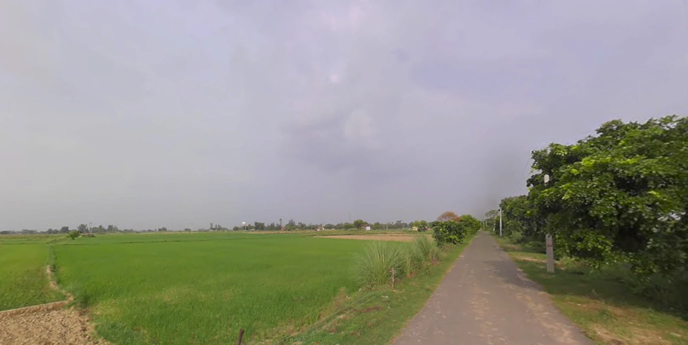 Suar, Uttar Pradesh 244924, India