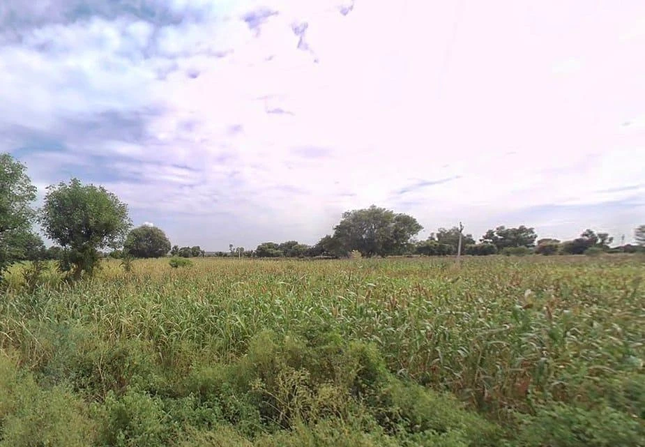 Pinan, Rajasthan, India