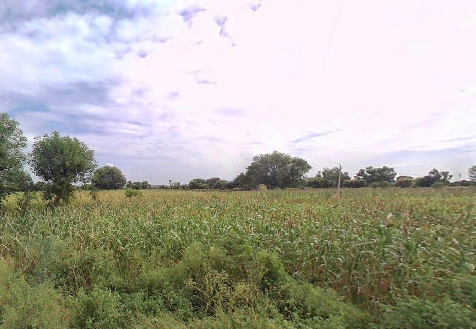 Pinan, Rajasthan, India