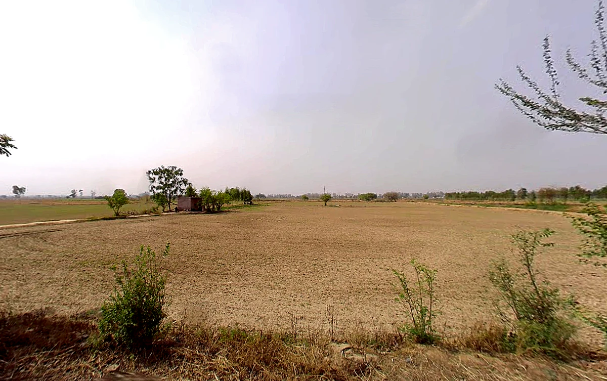 Buwana, Haryana 126114, India