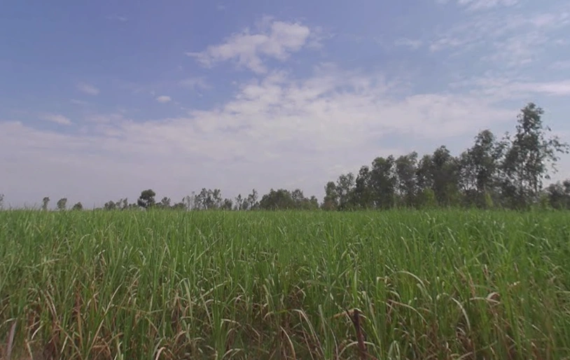 Garh Mukteshwar, Uttar Pradesh 245205, India