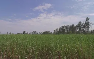 Garh Mukteshwar, Uttar Pradesh 245205, India preview 3