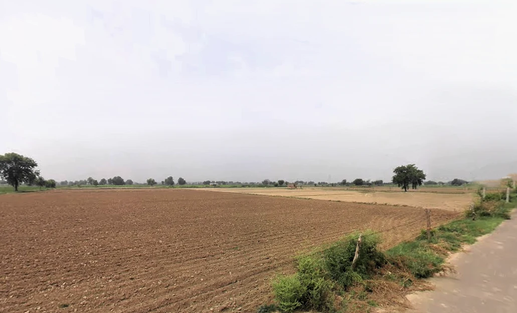 Barsi, Haryana 127032, India