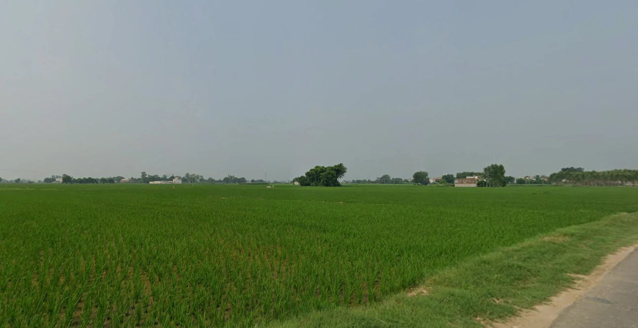 Tewar, Punjab 140301, India