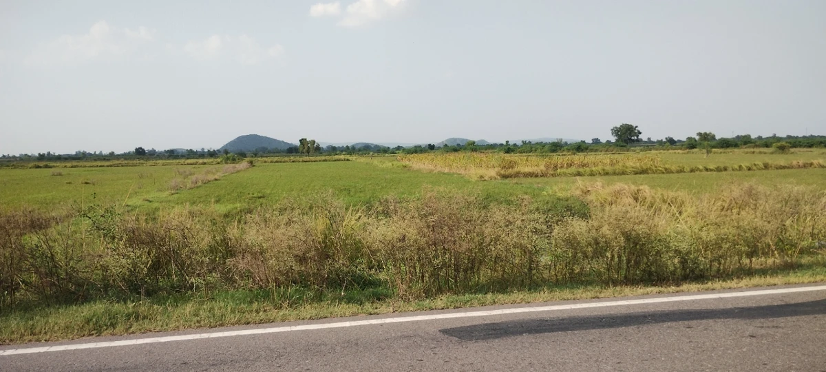 Rasiya, Rajasthan 321205, India