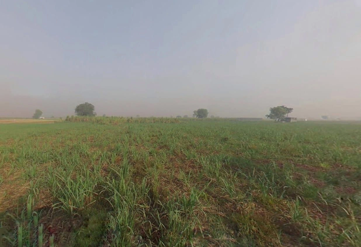 QHWV+6X Jahangirpur, Uttar Pradesh, India preview 3