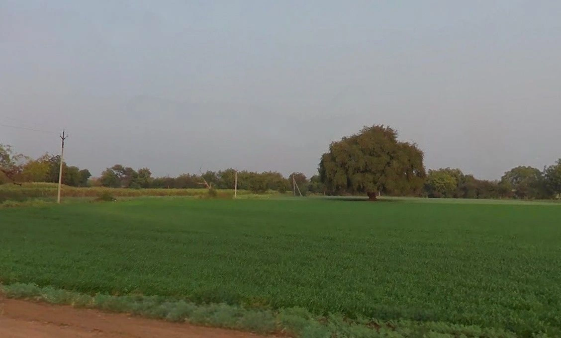 Bhogdad, Madhya Pradesh 454446, India