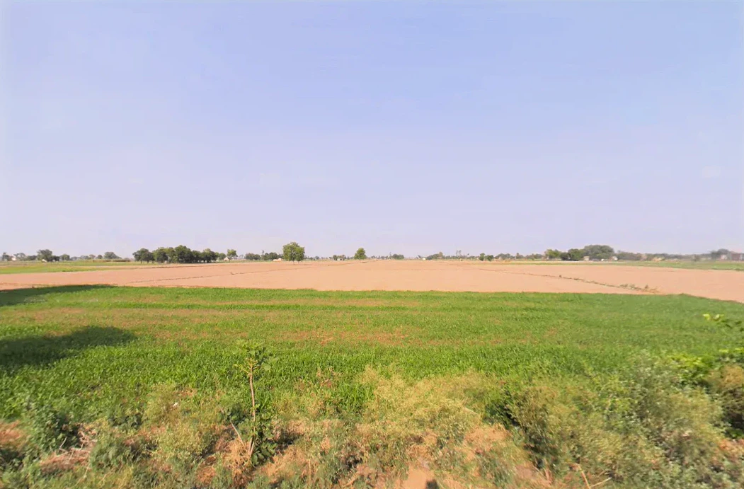 Datauli, Haryana 131101, India