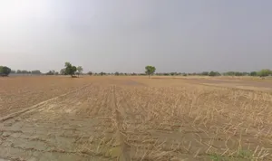 JM4H+GCP, Jhajjar, Haryana 124103, India preview 3