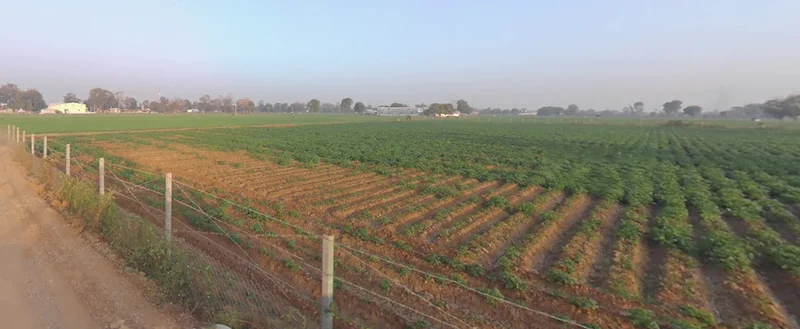 6G4W+5X Kedarpur, Maharashtra, India preview 2