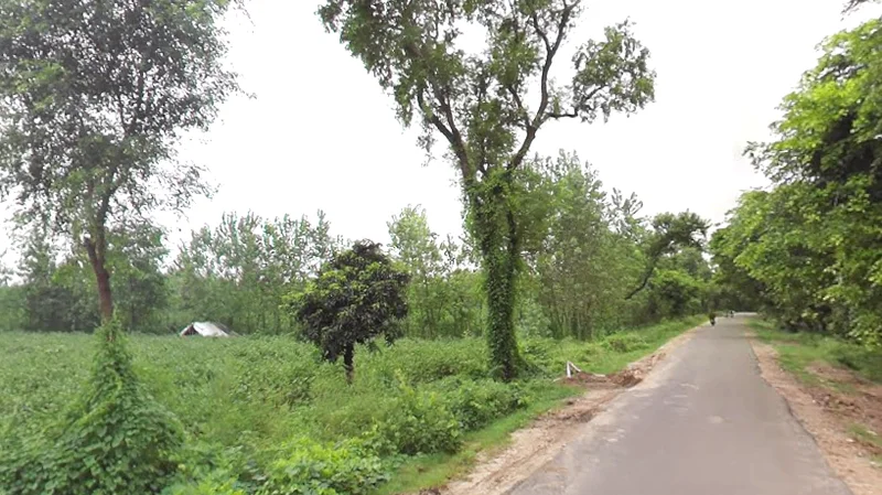 4RCX+RHF, Saharanpur Rd, Sunderpur, Uttar Pradesh 247662, India preview 3