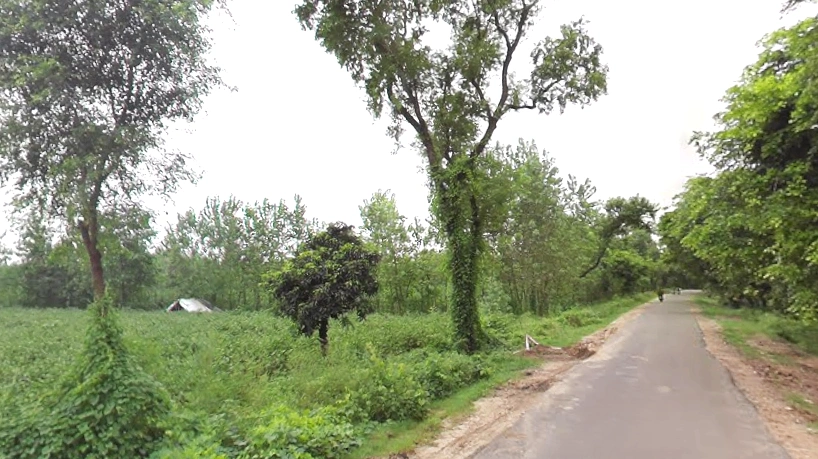 4RCX+RHF, Saharanpur Rd, Sunderpur, Uttar Pradesh 247662, India