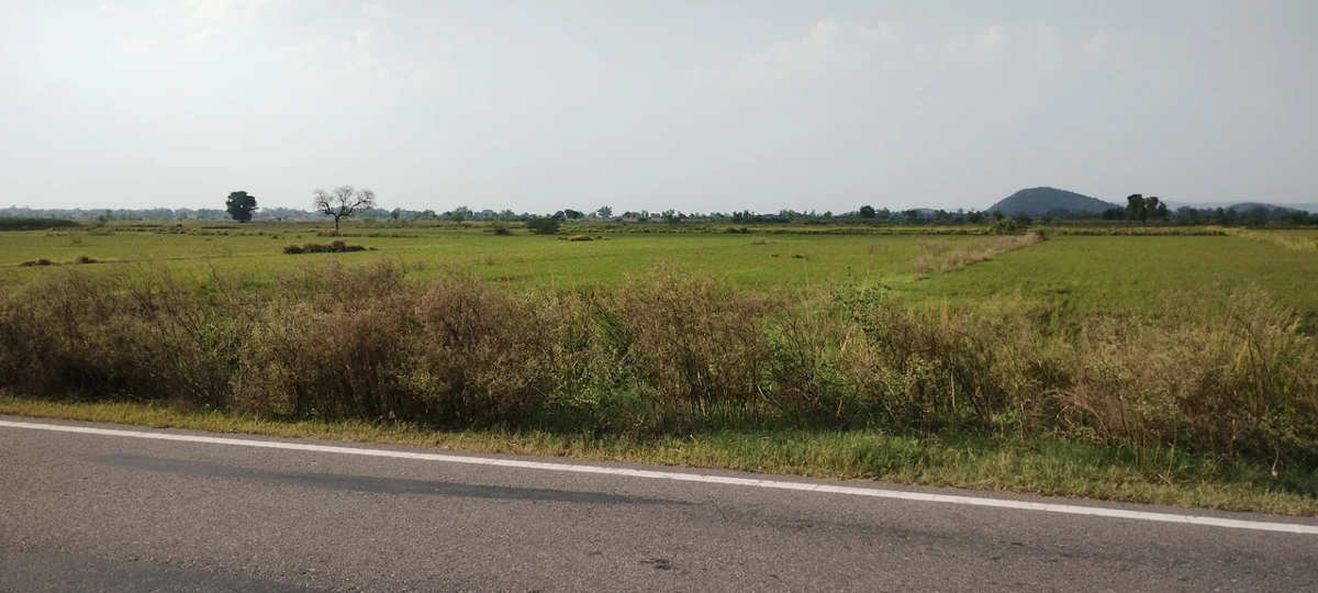 Rasiya, Rajasthan 321205, India