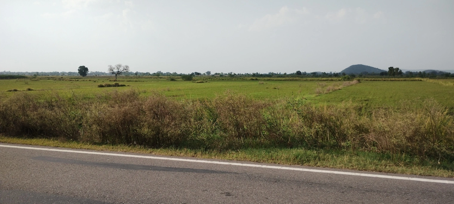 Rasiya, Rajasthan 321205, India
