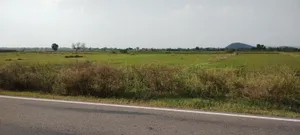 Rasiya, Rajasthan 321205, India preview 2