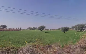 Aloda, Rajasthan 332602, India preview 2