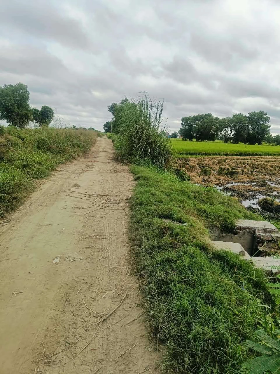Malhu, Mathura, Uttar Pradesh 281123, India